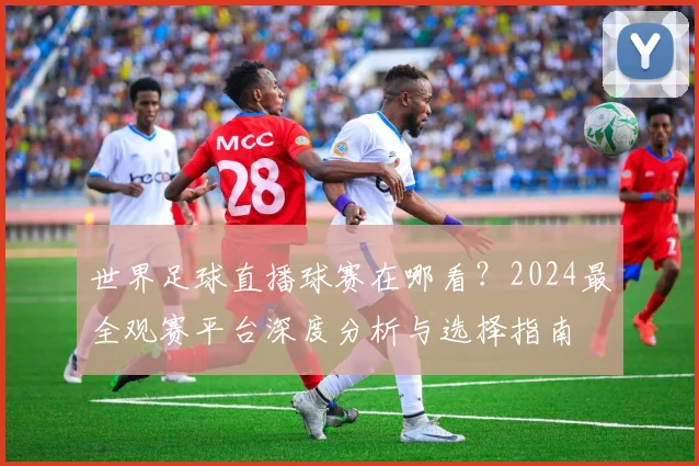 世界足球直播球赛在哪看?2024最全观赛平台深度分析与选择指南